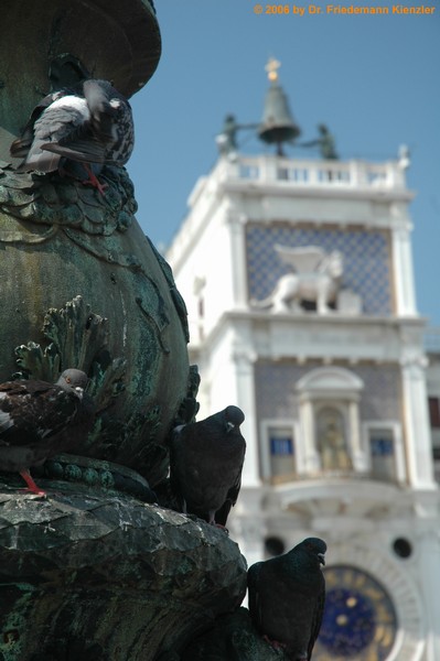 d70_1084.jpg