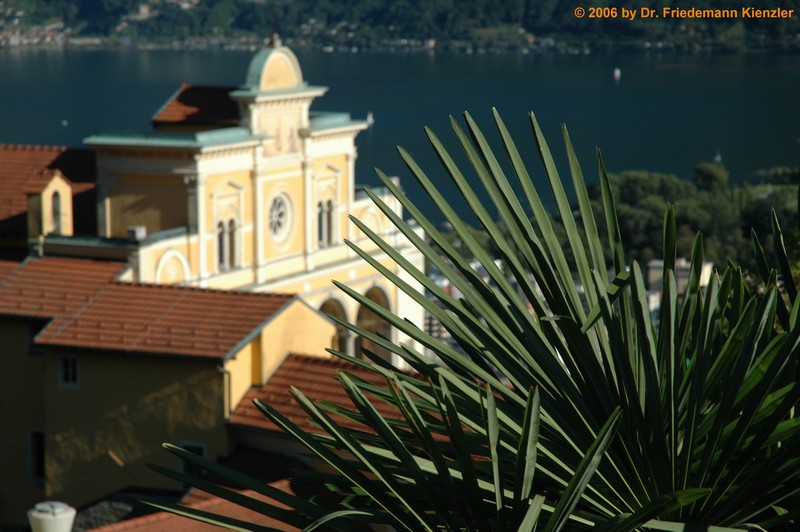 d70_1391.jpg